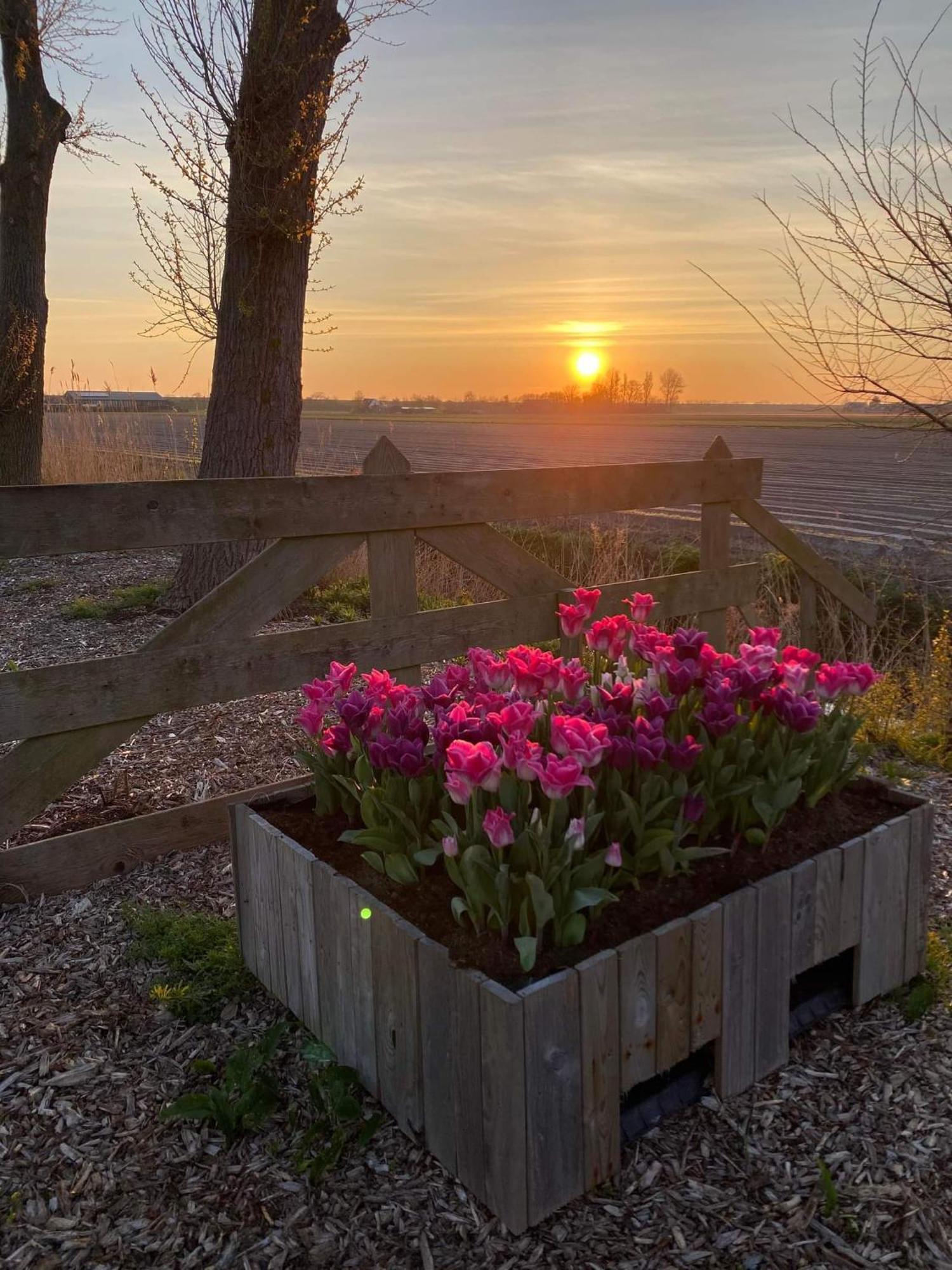 Breezand Camping De Tulpenweide Lege Kampeerplaats, Lege Plaats Op Het Gras Zonder Bed מראה חיצוני תמונה
