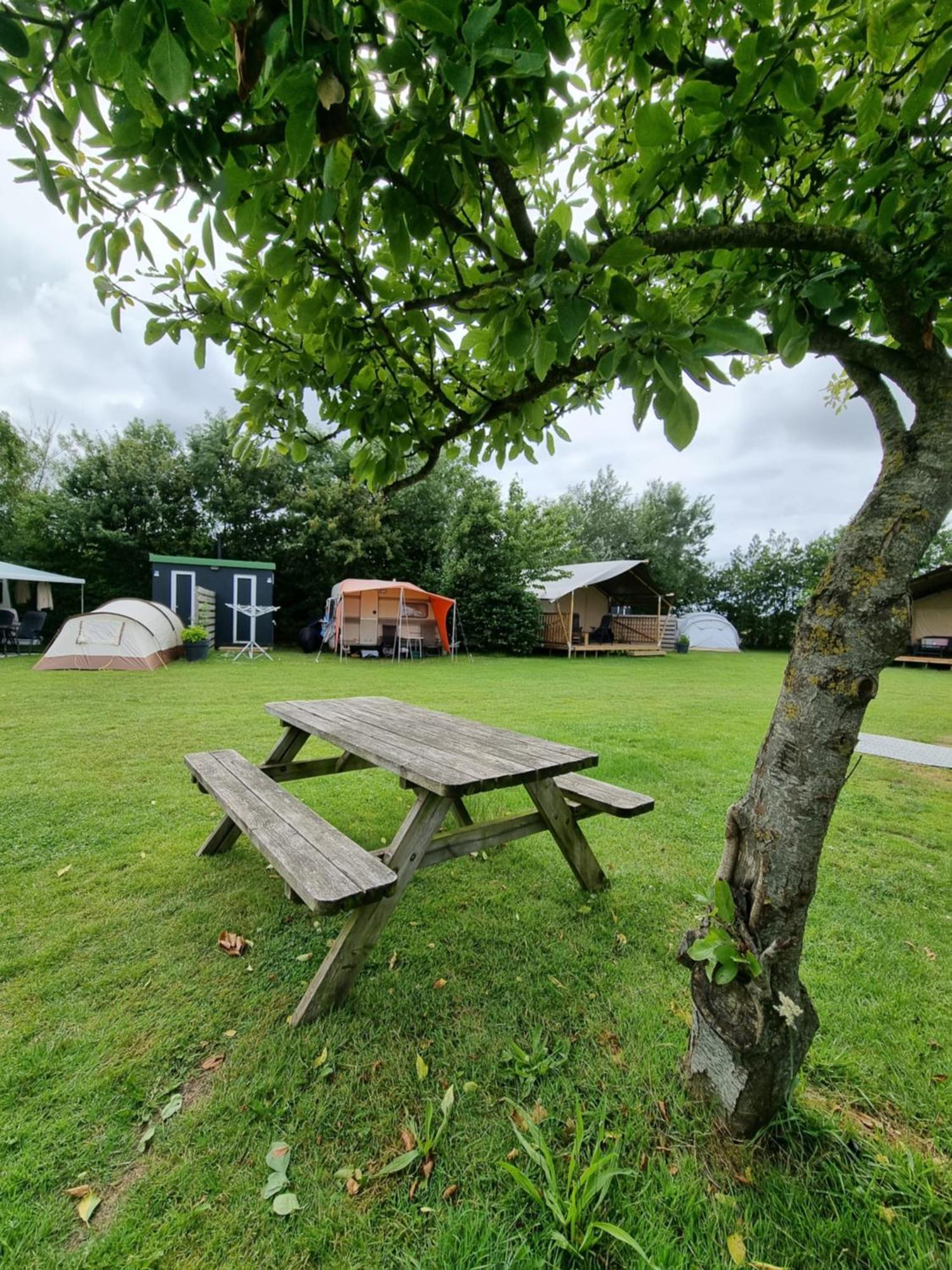 Breezand Camping De Tulpenweide Lege Kampeerplaats, Lege Plaats Op Het Gras Zonder Bed מראה חיצוני תמונה