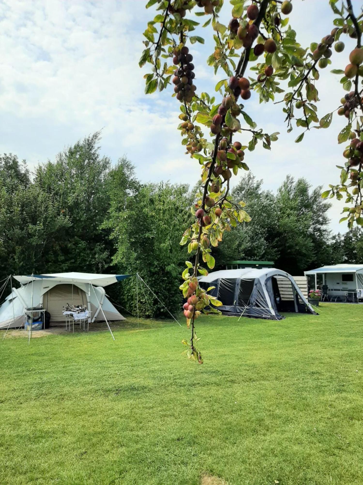 Breezand Camping De Tulpenweide Lege Kampeerplaats, Lege Plaats Op Het Gras Zonder Bed מראה חיצוני תמונה