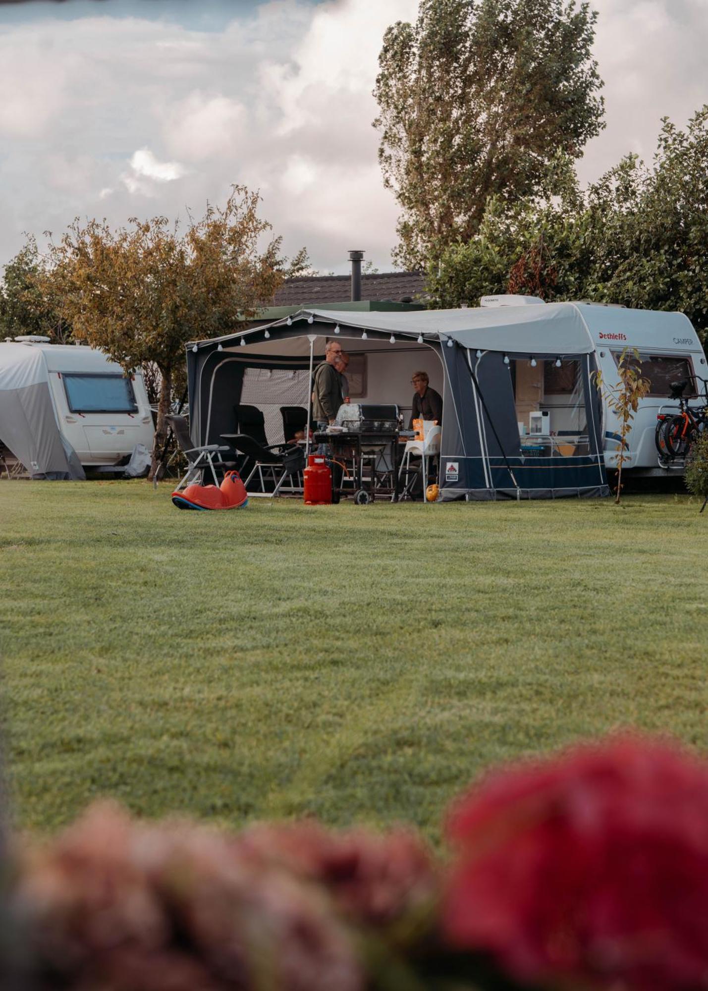 Breezand Camping De Tulpenweide Lege Kampeerplaats, Lege Plaats Op Het Gras Zonder Bed מראה חיצוני תמונה
