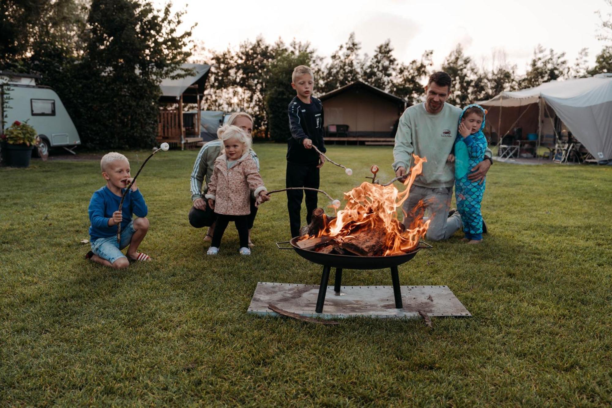 Breezand Camping De Tulpenweide Lege Kampeerplaats, Lege Plaats Op Het Gras Zonder Bed מראה חיצוני תמונה