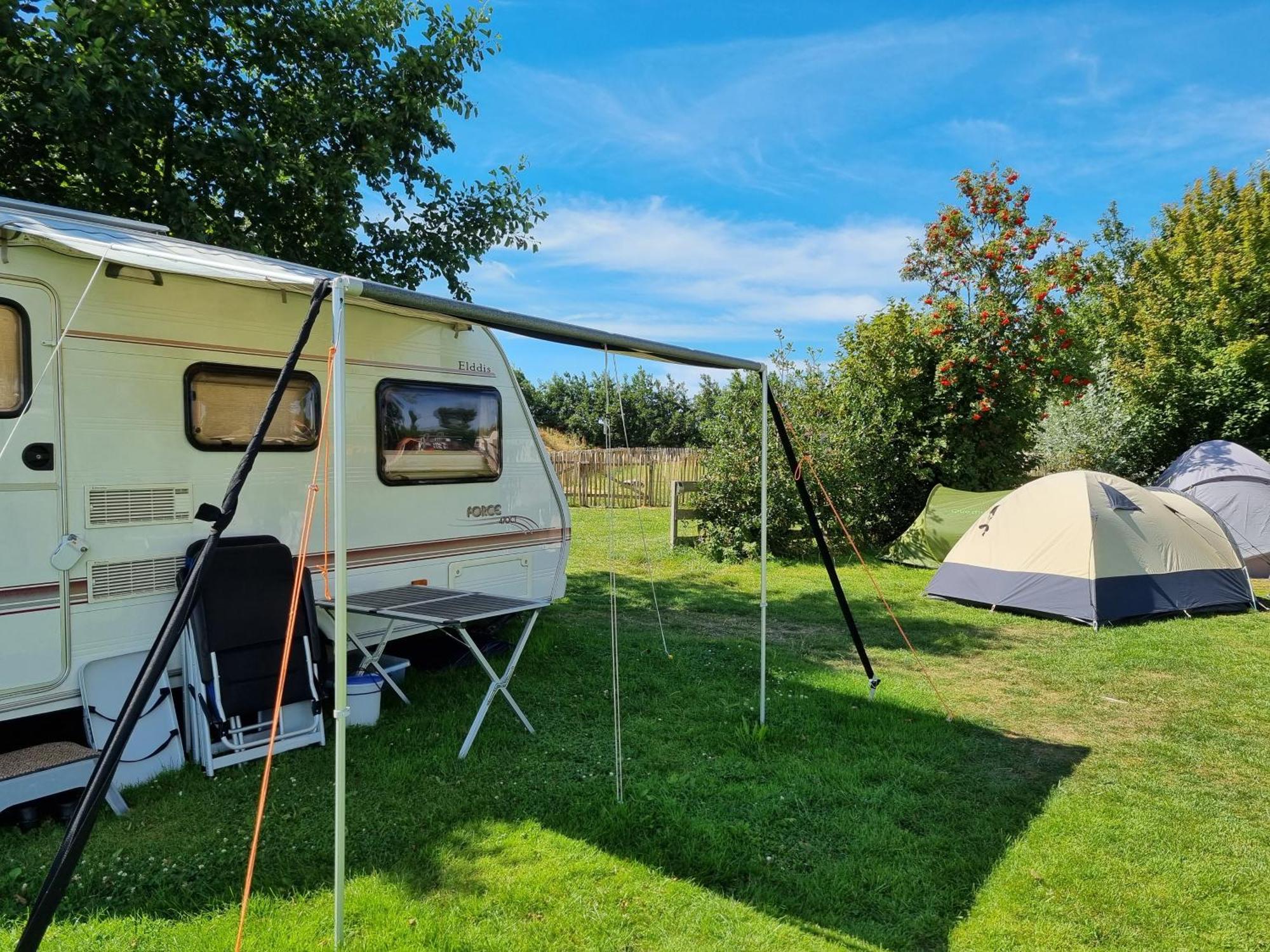 Breezand Camping De Tulpenweide Lege Kampeerplaats, Lege Plaats Op Het Gras Zonder Bed חדר תמונה
