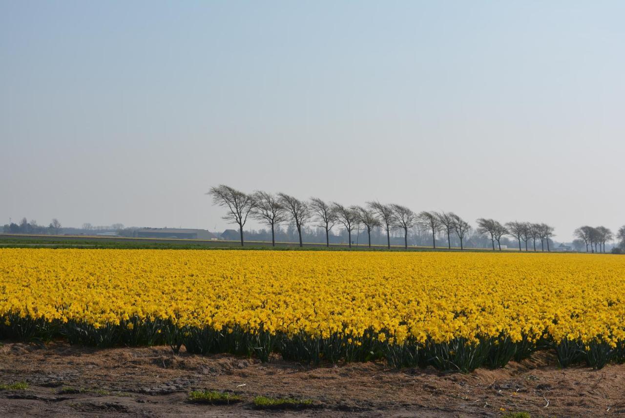 Breezand Camping De Tulpenweide Lege Kampeerplaats, Lege Plaats Op Het Gras Zonder Bed מראה חיצוני תמונה