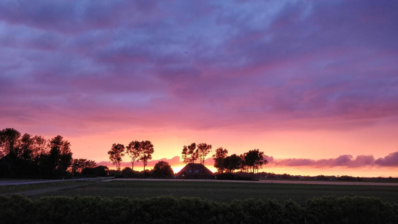 Breezand Camping De Tulpenweide Lege Kampeerplaats, Lege Plaats Op Het Gras Zonder Bed מראה חיצוני תמונה